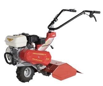 Motocultor Benassi RT401